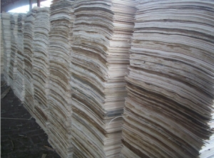 Poplar Core Veneer